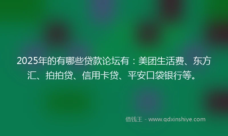 2025年的有哪些贷款论坛有：美团生活费、东方汇、拍拍贷、信用卡贷、平安口袋银行等。