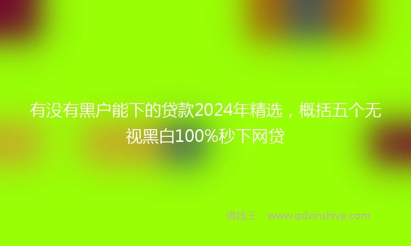 有没有黑户能下的贷款2024年精选，概括五个无视黑白100%秒下网贷