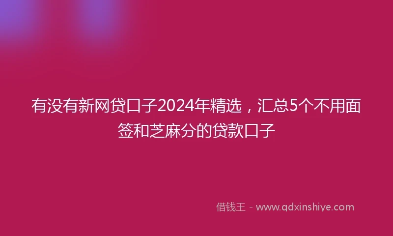 有没有新网贷口子2024年精选，汇总5个不用面签和芝麻分的贷款口子