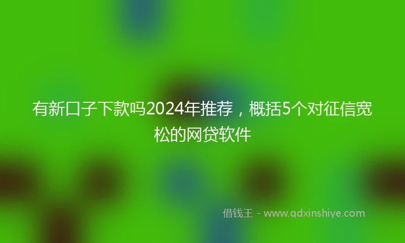 有新口子下款吗2024年推荐，概括5个对征信宽松的网贷软件