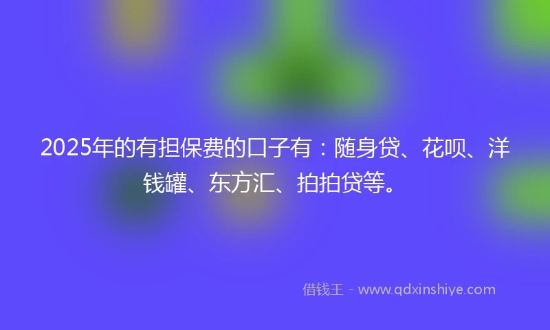 2025年的有担保费的口子有：随身贷、花呗、洋钱罐、东方汇、拍拍贷等。