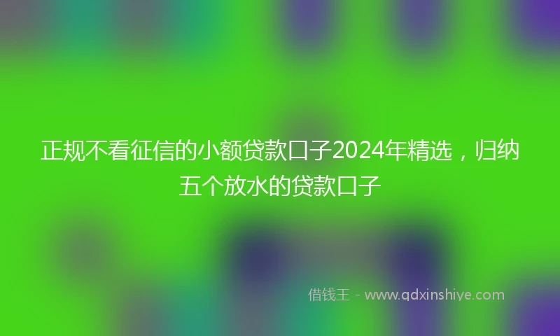 正规不看征信的小额贷款口子2024年精选,归纳五个放水的贷款口子