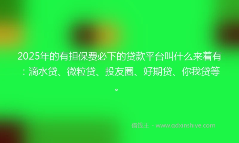 2025年的有担保费必下的贷款平台叫什么来着有：滴水贷、微粒贷、投友圈、好期贷、你我贷等。