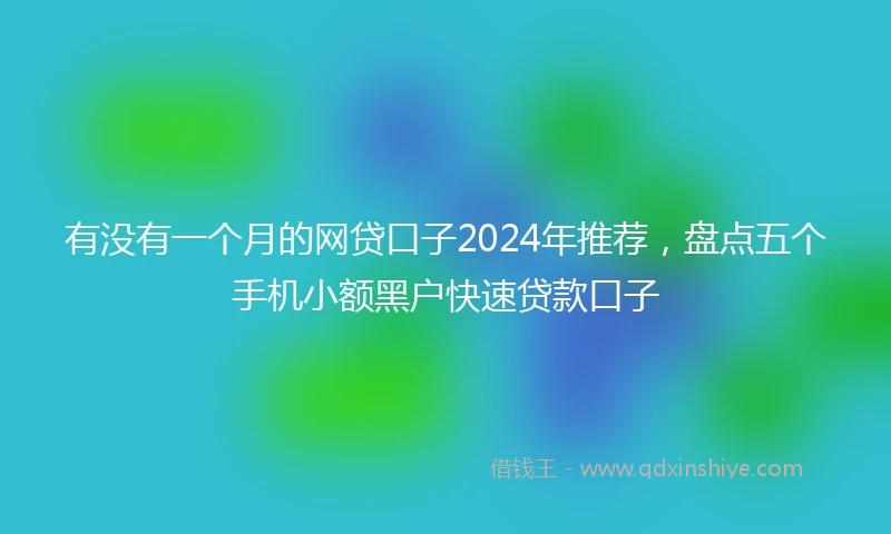 有没有一个月的网贷口子2024年推荐，盘点五个手机小额黑户快速贷款口子