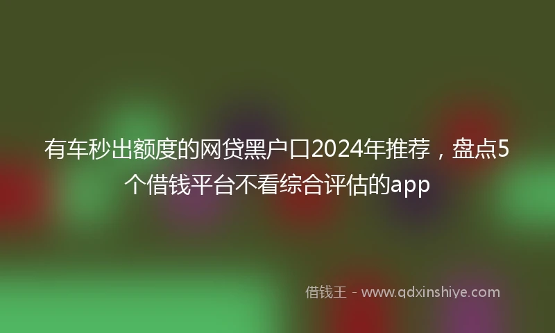 有车秒出额度的网贷黑户口2024年推荐，盘点5个借钱平台不看综合评估的app