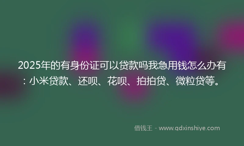 2025年的有身份证可以贷款吗我急用钱怎么办有：小米贷款、还呗、花呗、拍拍贷、微粒贷等。