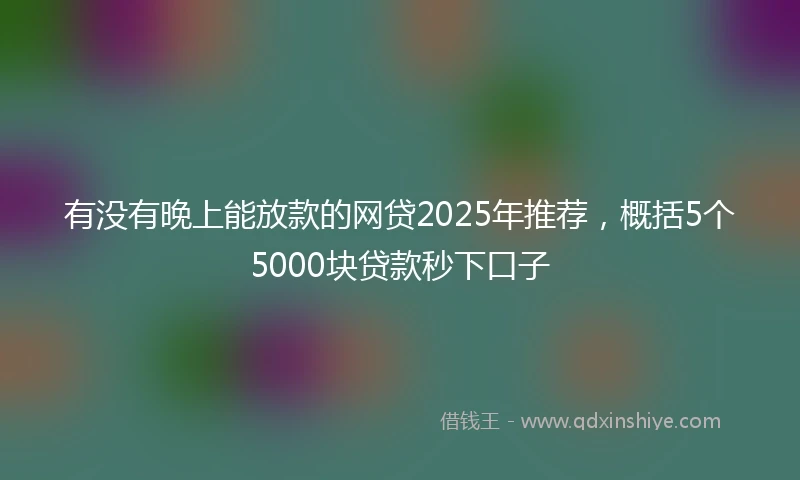 有没有晚上能放款的网贷2025年推荐，概括5个5000块贷款秒下口子