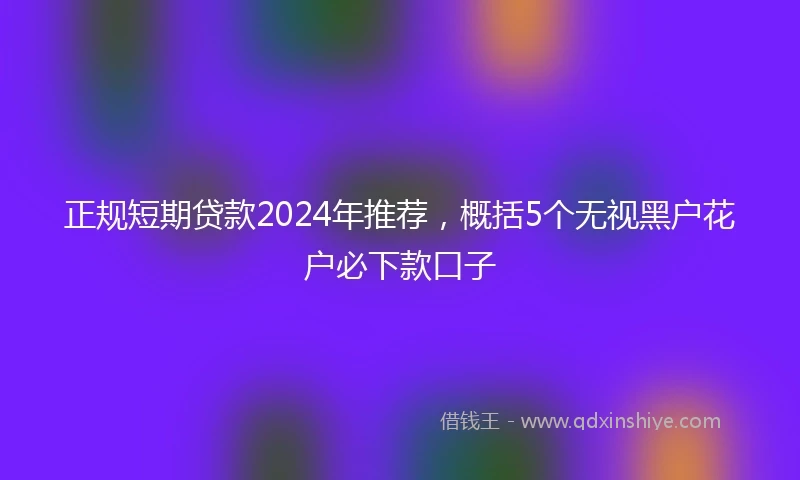 正规短期贷款2024年推荐，概括5个无视黑户花户必下款口子