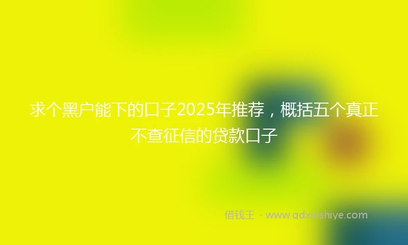 求个黑户能下的口子2025年推荐，概括五个真正不查征信的贷款口子