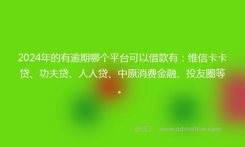 2024年的有逾期哪个平台可以借款有：维信卡卡贷、功夫贷、人人贷、中原消费金融、投友圈等。