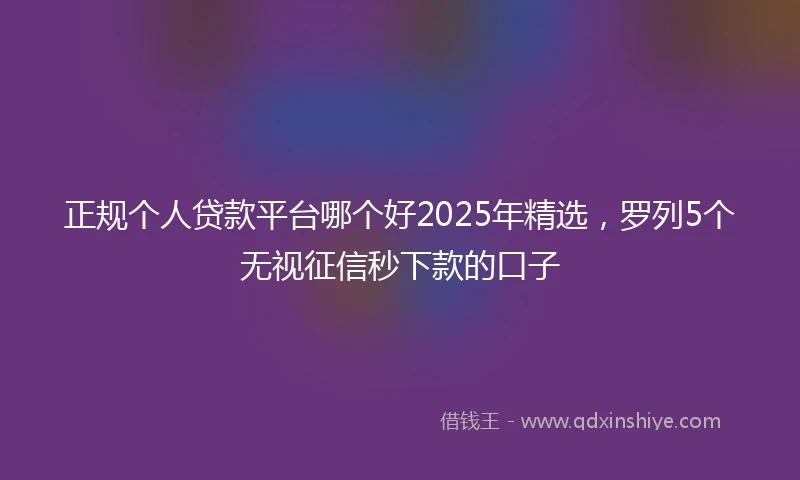 正规个人贷款平台哪个好2025年精选，罗列5个无视征信秒下款的口子