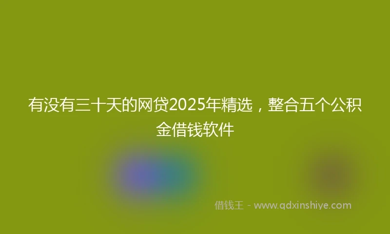 有没有三十天的网贷2025年精选，整合五个公积金借钱软件