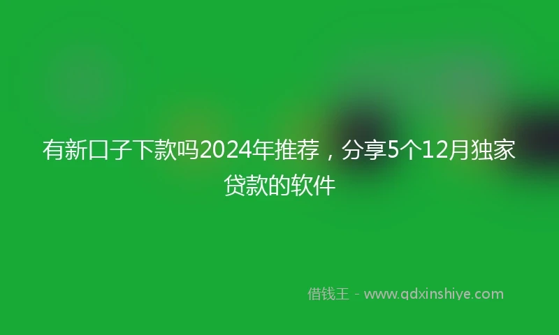 有新口子下款吗2024年推荐，分享5个12月独家贷款的软件