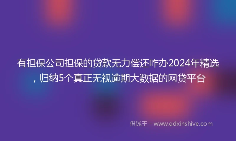 有担保公司担保的贷款无力偿还咋办2024年精选，归纳5个真正无视逾期大数据的网贷平台