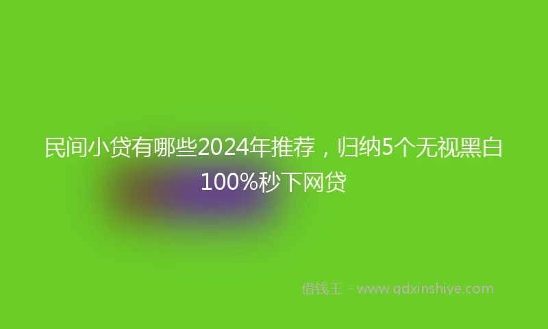 民间小贷有哪些2024年推荐，归纳5个无视黑白100%秒下网贷
