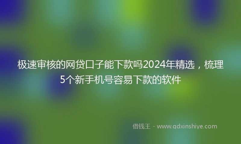 极速审核的网贷口子能下款吗2024年精选，梳理5个新手机号容易下款的软件