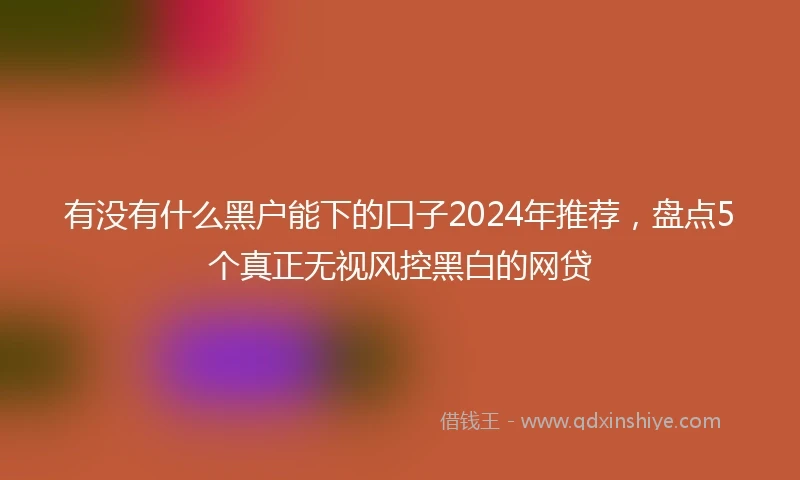 有没有什么黑户能下的口子2024年推荐，盘点5个真正无视风控黑白的网贷