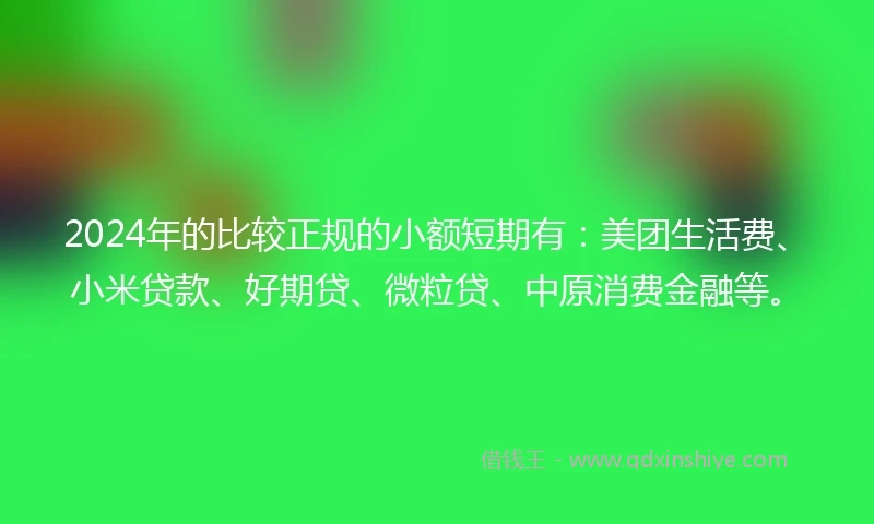2024年的比较正规的小额短期有：美团生活费、小米贷款、好期贷、微粒贷、中原消费金融等。