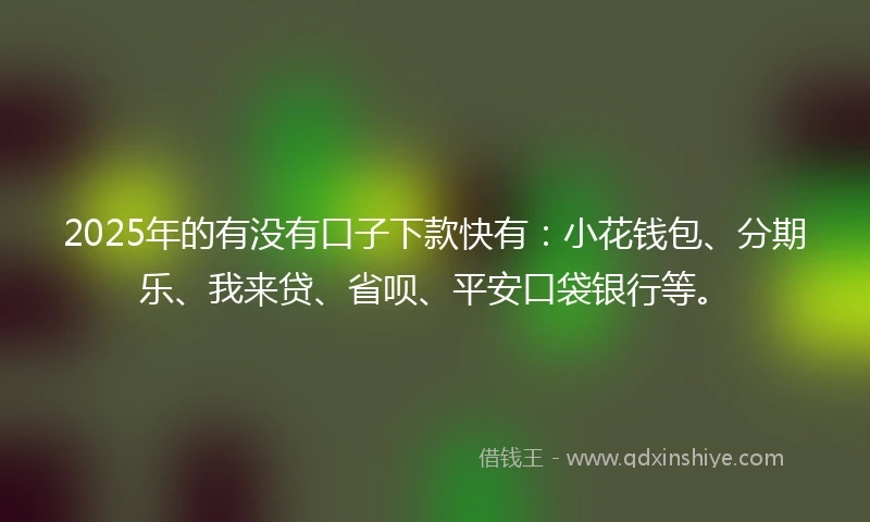 2025年的有没有口子下款快有：小花钱包、分期乐、我来贷、省呗、平安口袋银行等。
