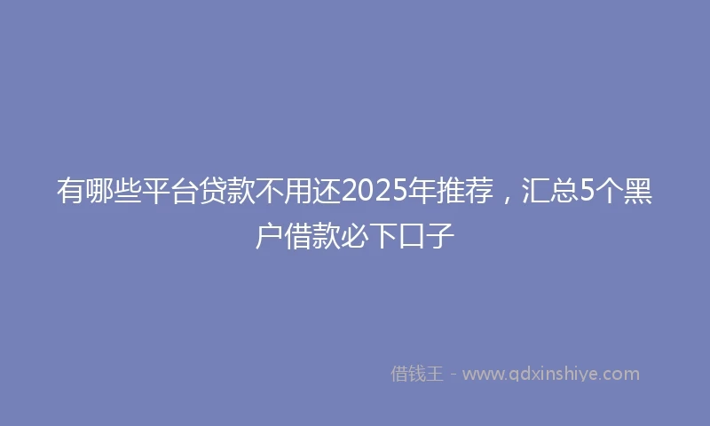 有哪些平台贷款不用还2025年推荐，汇总5个黑户借款必下口子