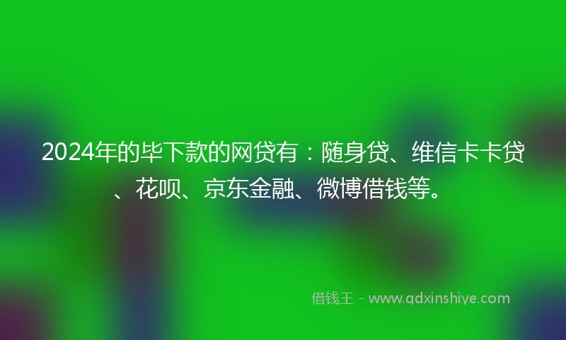 2024年的毕下款的网贷有：随身贷、维信卡卡贷、花呗、京东金融、微博借钱等。