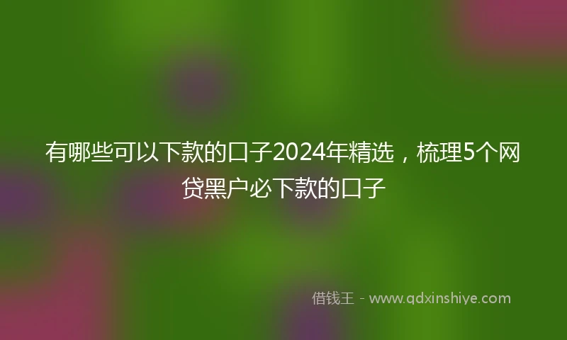 有哪些可以下款的口子2024年精选，梳理5个网贷黑户必下款的口子