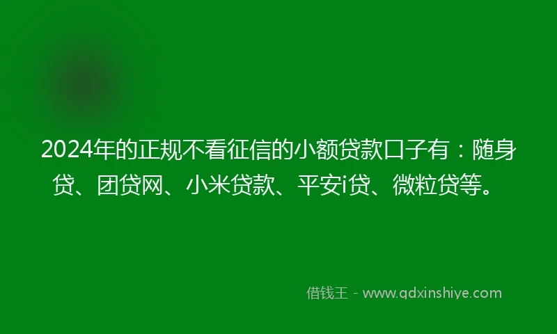 2024年的正规不看征信的小额贷款口子有：随身贷、团贷网、小米贷款、平安i贷、微粒贷等。