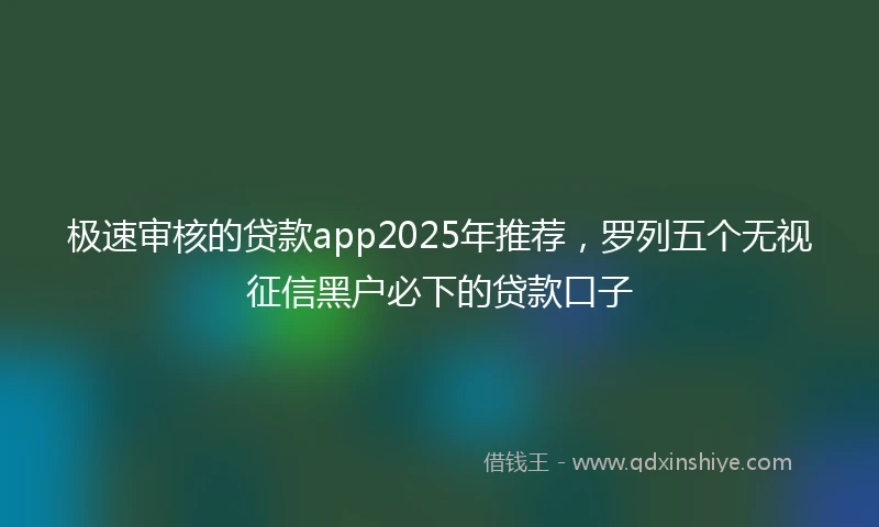 极速审核的贷款app2025年推荐,罗列五个无视征信黑户必下的贷款口子
