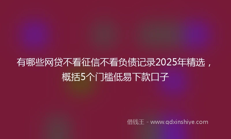 有哪些网贷不看征信不看负债记录2025年精选，概括5个门槛低易下款口子