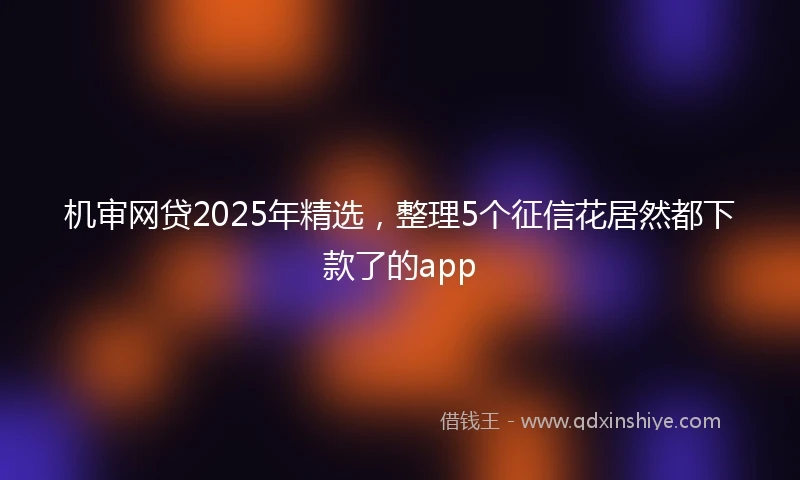 机审网贷2025年精选，整理5个征信花居然都下款了的app