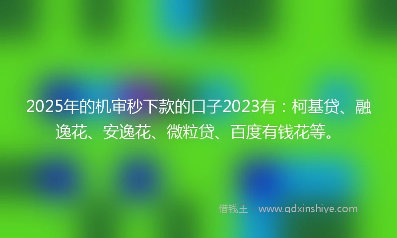 2025年的机审秒下款的口子2023有：柯基贷、融逸花、安逸花、微粒贷、百度有钱花等。