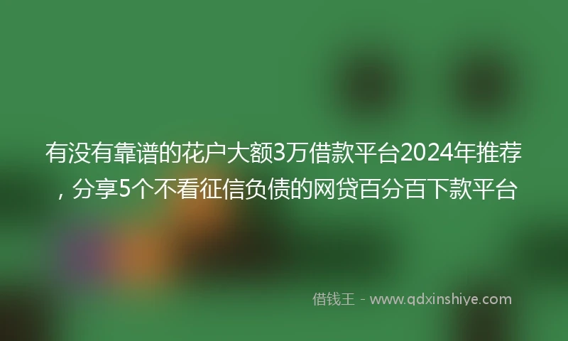有没有靠谱的花户大额3万借款平台2024年推荐，分享5个不看征信负债的网贷百分百下款平台