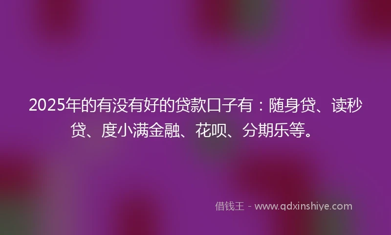 2025年的有没有好的贷款口子有：随身贷、读秒贷、度小满金融、花呗、分期乐等。