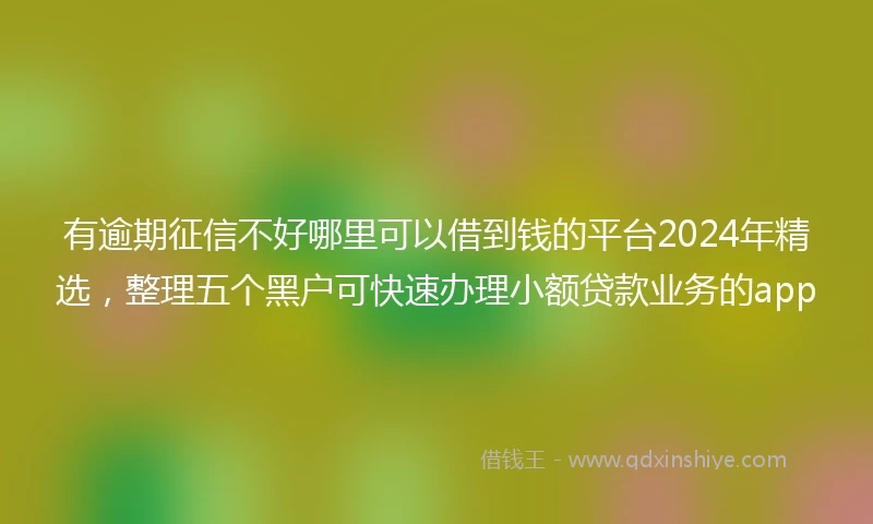 有逾期征信不好哪里可以借到钱的平台2024年精选，整理五个黑户可快速办理小额贷款业务的app