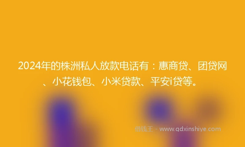 2024年的株洲私人放款电话有：惠商贷、团贷网、小花钱包、小米贷款、平安i贷等。