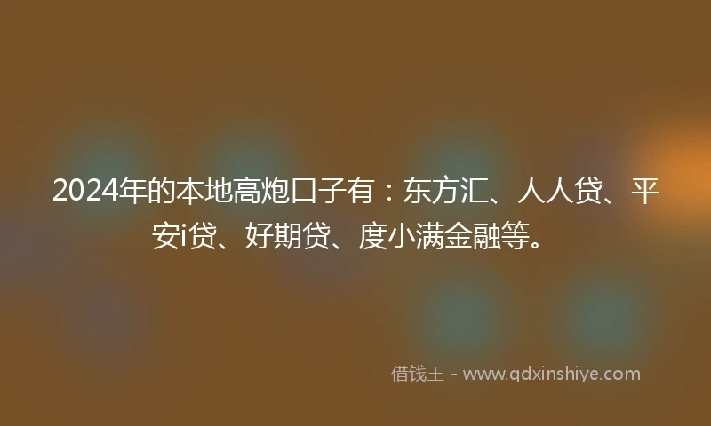 2024年的本地高炮口子有：东方汇、人人贷、平安i贷、好期贷、度小满金融等。
