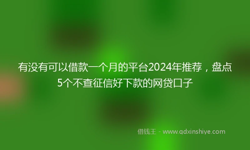 有没有可以借款一个月的平台2024年推荐，盘点5个不查征信好下款的网贷口子
