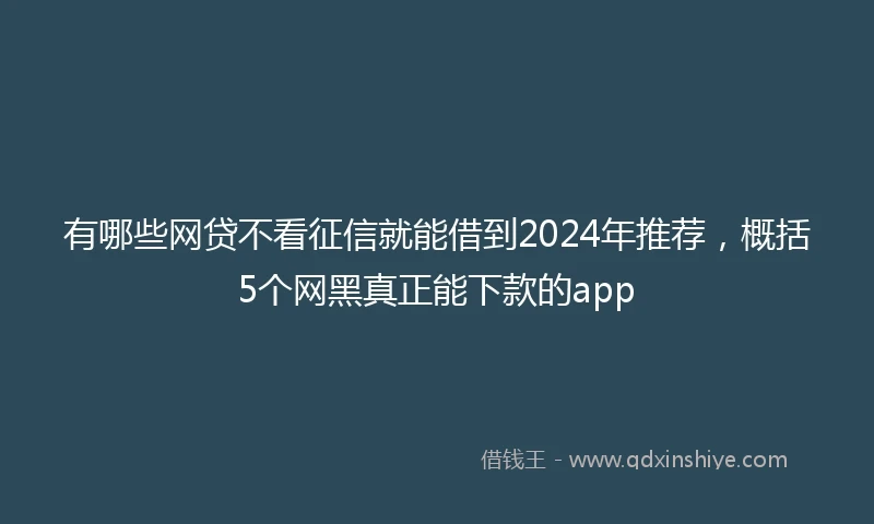 有哪些网贷不看征信就能借到2024年推荐，概括5个网黑真正能下款的app