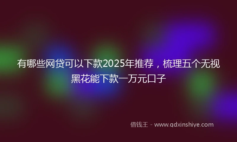 有哪些网贷可以下款2025年推荐，梳理五个无视黑花能下款一万元口子