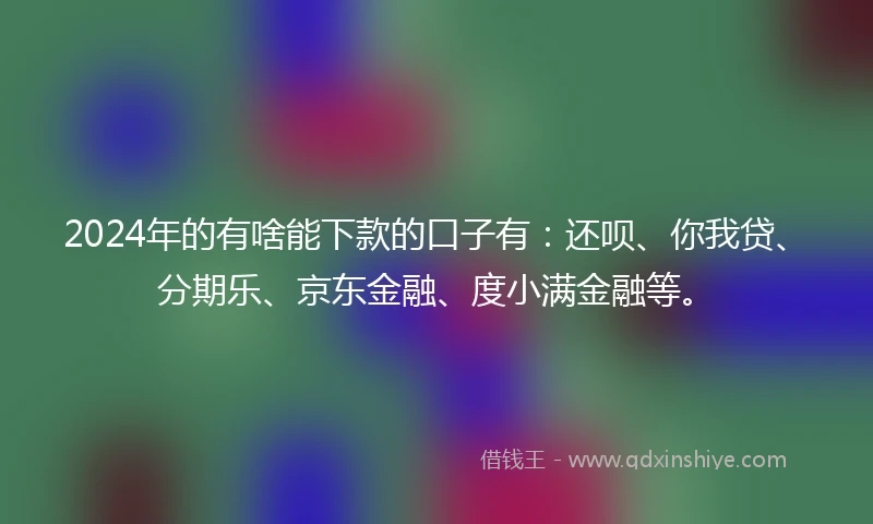 2024年的有啥能下款的口子有：还呗、你我贷、分期乐、京东金融、度小满金融等。