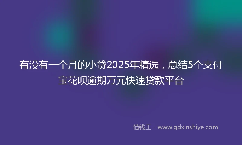 有没有一个月的小贷2025年精选，总结5个支付宝花呗逾期万元快速贷款平台