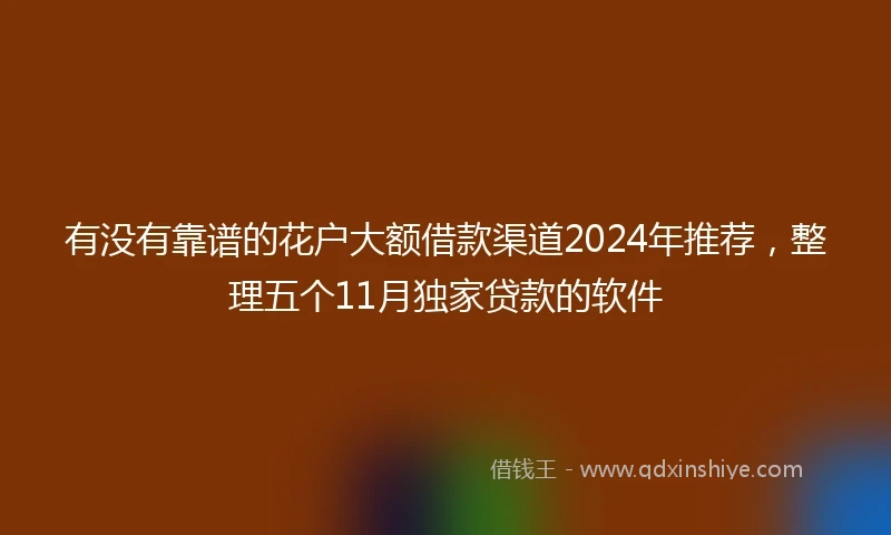 有没有靠谱的花户大额借款渠道2024年推荐，整理五个11月独家贷款的软件