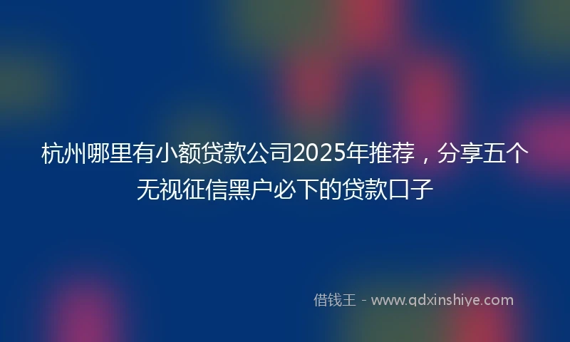 杭州哪里有小额贷款公司2025年推荐，分享五个无视征信黑户必下的贷款口子