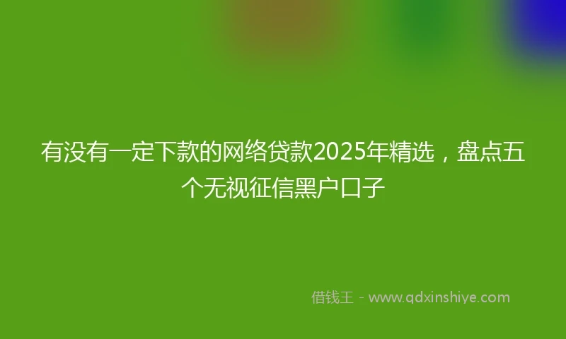 有没有一定下款的网络贷款2025年精选，盘点五个无视征信黑户口子