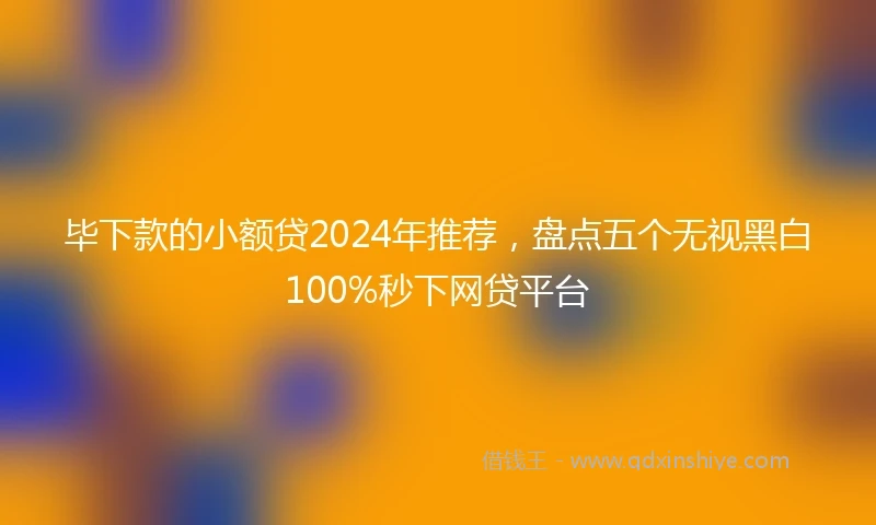 毕下款的小额贷2024年推荐，盘点五个无视黑白100%秒下网贷平台