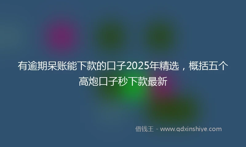 有逾期呆账能下款的口子2025年精选，概括五个高炮口子秒下款最新