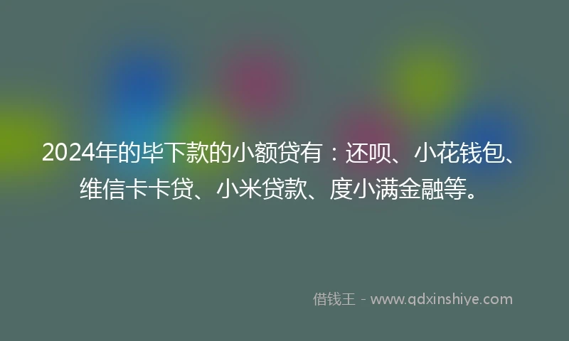 2024年的毕下款的小额贷有：还呗、小花钱包、维信卡卡贷、小米贷款、度小满金融等。