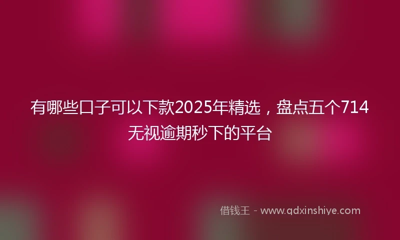 有哪些口子可以下款2025年精选，盘点五个714无视逾期秒下的平台