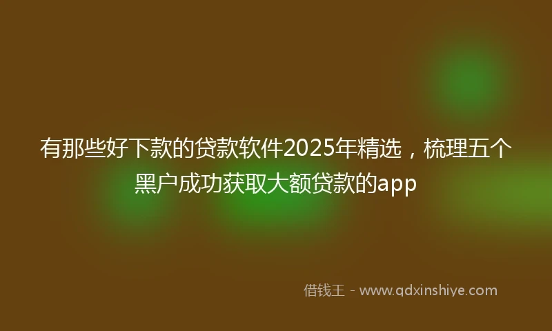有那些好下款的贷款软件2025年精选，梳理五个黑户成功获取大额贷款的app