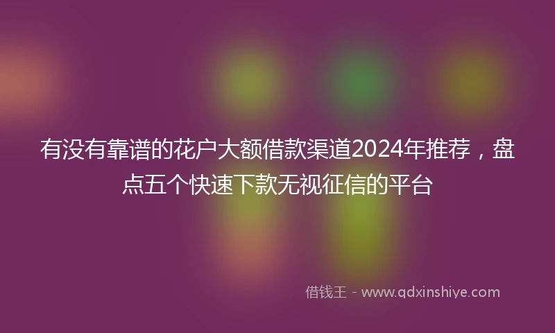 有没有靠谱的花户大额借款渠道2024年推荐，盘点五个快速下款无视征信的平台